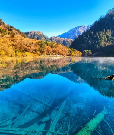 14D13N • Jiuzhaigou in golden autumn · See giant pandas+Huanglong Scenic Area+Dujiangyan+Zhangjiajie National Forest Park+Tianmen Mountain Cableway+Liberation Monument in Chongqing+Three Natural Bridges+Exclusive tour for international visitors