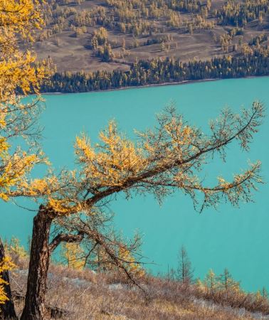 10D9N • Urumqi + Northern Xinjiang + Sayram Lake + Keketuohai Scenic District
