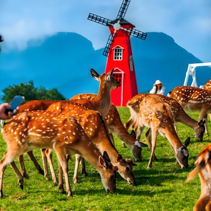 恩施市+长江三峡+神农架+武当山风景区+武汉9日8晚私家团