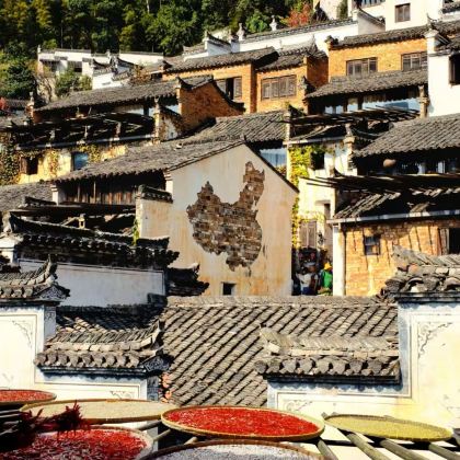 江西南昌+庐山市+景德镇+鄱阳湖+婺源篁岭景区4日3晚跟团游