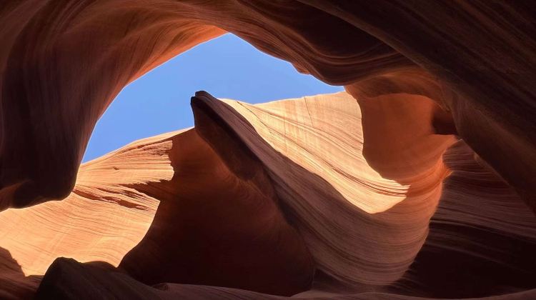 6-Day Yellowstone Tour from Las Vegas · Grand Canyon, Antelope Canyon and Salt Lake City | LV In and SLC Out | Max 11 Pax