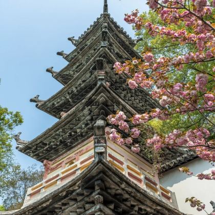 南通狼山风景名胜区+啬园+南通博物苑+南通市濠河景区+寺街+泰州4日3晚私家团