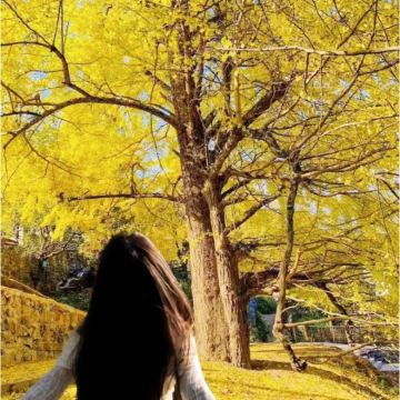 腾冲+老姆登村+丙中洛风景区+老姆登知子罗+火山地热国家地质公园9日8晚私家团