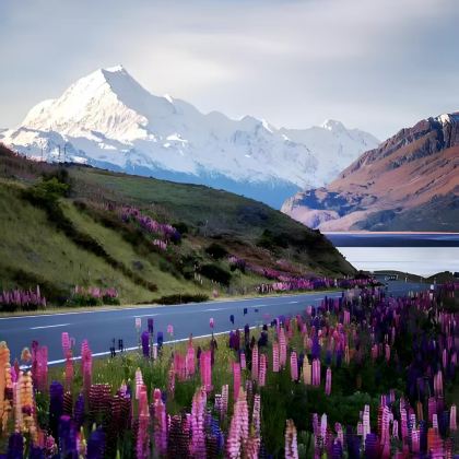 新西兰9日6晚拼小团