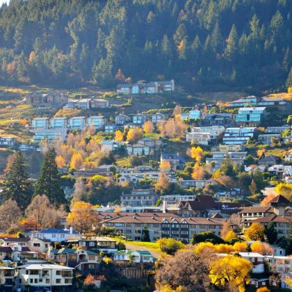 新西兰南岛+北岛11日跟团游