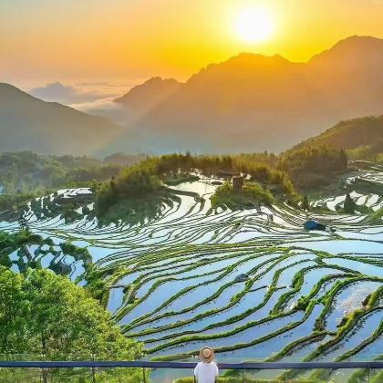 云南昆明+抚仙湖+建水+元阳+蒙自+河口+弥勒+石林8日7晚私家团