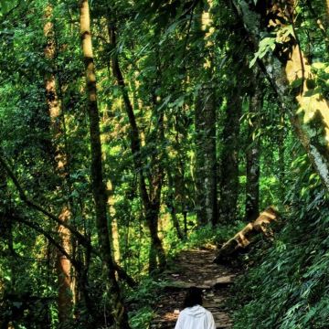 亲近自然·保山腾冲6日游学亲子营丨高黎贡山轻徒步丨解锁自然密码丨山野BBQ丨火山公园地理小课堂丨温泉煮鸡蛋丨古韵和顺古镇丨采茶制茶丨手工制作皮影丨咖啡小课堂丨手冲咖啡下午茶丨特色美食丨亲子奇趣时光