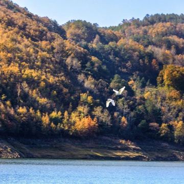 西安+安康+石泉+勉县+汉中6日5晚私家团