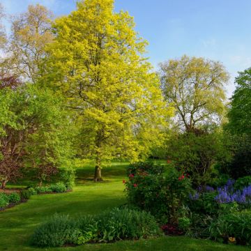 英国伦敦+爱丁堡+苏格兰+都柏林17日16晚自由行