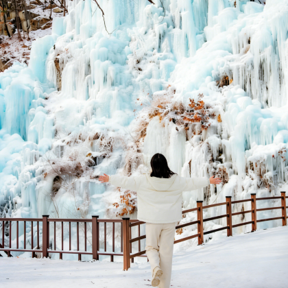 韩国首尔+南怡岛5日4晚私家团