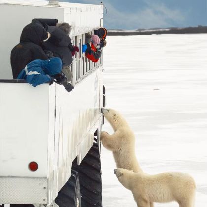 加拿大温尼伯+丘吉尔5日4晚私家团