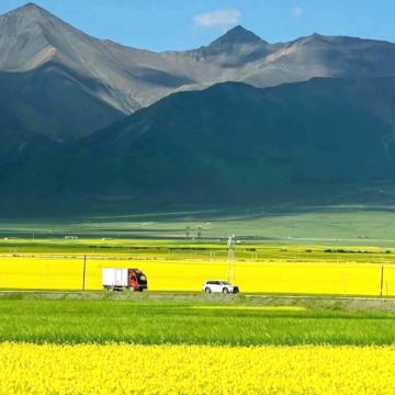 昆明+抚仙湖+云南哀牢山国家级自然保护区+建水+元阳+弥勒+罗平8日7晚拼小团