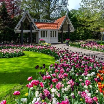 荷兰+比利时+卢森堡+法国14日13晚私家团