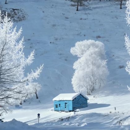 呼伦贝尔+阿尔山4日3晚私家团