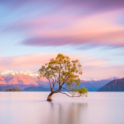 新西兰8日7晚私家团