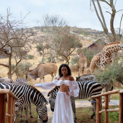 坦桑尼亚塞伦盖蒂+恩戈罗恩戈罗+塔兰吉雷国家公园8日7晚私家团