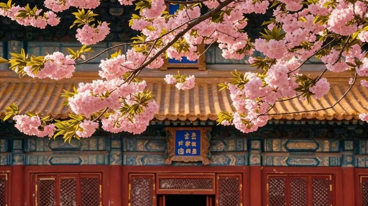 3D2N · Private Tours ·  The Palace Museum , Mutianyu Great Wall - just pure fun. Enjoy a relaxed, activity-focused group experience with English-speaking guide service for on-site commentary