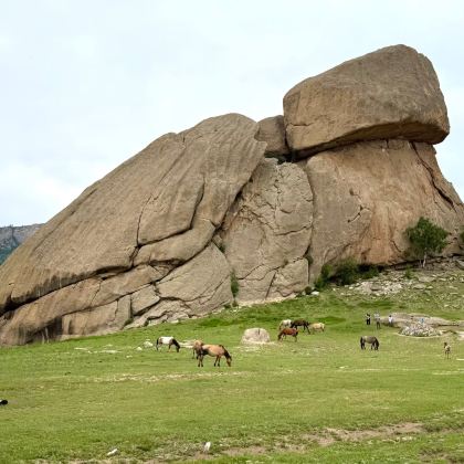 蒙古乌兰巴托+成吉思汗骑马雕像+特日勒吉国家公园+成吉思汗广场+博克多汗冬宫+成吉思汗国家博物馆4日3晚拼小团
