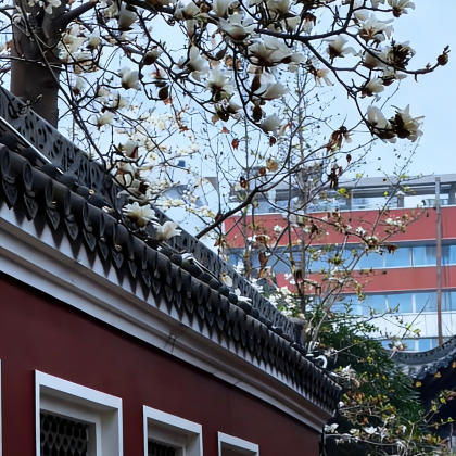 武汉+黄鹤楼+武当山风景区+神农架风景区5日4晚跟团游