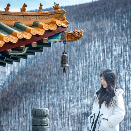 山西五台山3日2晚拼小团