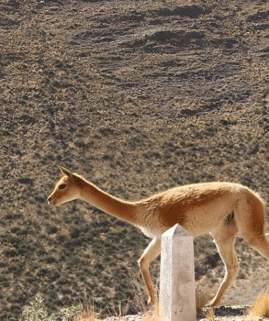 3D2N • Cafayate, Hornocal and Salinas : Andean Trails