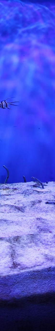 海趣花都海洋世界-昆明