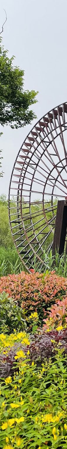 苏州太湖国家湿地公园-苏州