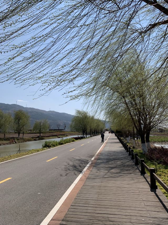 麒麟水乡旅行图片 6