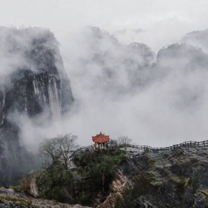 福建武夷山+九曲溪竹筏漂流+《印象大红袍》演出3日2晚私家团