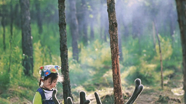 秦皇岛+北戴河+承德+坝上+乌兰布统6日5晚私家团·【萌娃趣草原】1N海滨喜来登+2N连住草原君澜丨白桦林深处&亲近驯鹿·梅花鹿+草原那达慕&射箭·博克·马术演艺丨越野深度穿越草原+帆船出海喂海鸥丨游皇家园林+万里长城