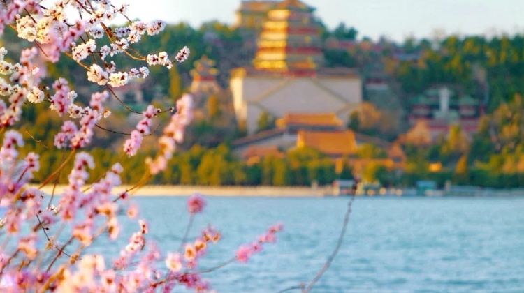 4D3N · Group Tours · Beijing + The Palace Museum + Mutianyu Great Wall + Temple of Heaven + Summer Palace + Lama Temple+Shichahai