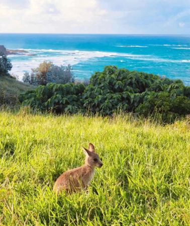 4D3N • Australia + Brisbane + Gold Coast