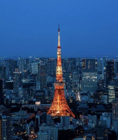 5D4N • Tokyo + Fuji City + Izu City + Narita: Izu Onsen Hotel