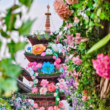 南京+无锡+苏州+乌镇+杭州+上海6日5晚私家团