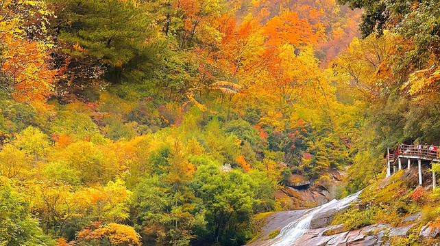 九寨沟亲子游旅行社哪家强？2025年最新五强口碑榜单出炉！