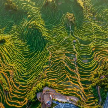 浙江丽水缙云仙都景区+云和梯田景区3日2晚跟团游