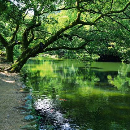 日本神户+高松+高知市+德岛+北野异人馆街+祖谷溪7日6晚私家团