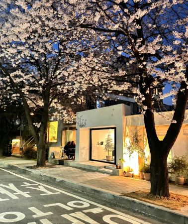 3天2晚 • 韓國江原道束草+江陵