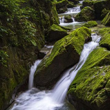 重庆4日3晚自由行