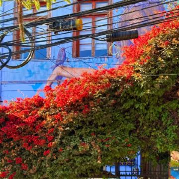 圣地亚哥首都大区+瓦尔帕莱索大区+伊瓜苏国家公园+伊瓜苏瀑布+福斯－杜伊瓜苏+里约热内卢州+布宜诺斯艾利斯省+布宜诺斯艾利斯12日11晚私家团