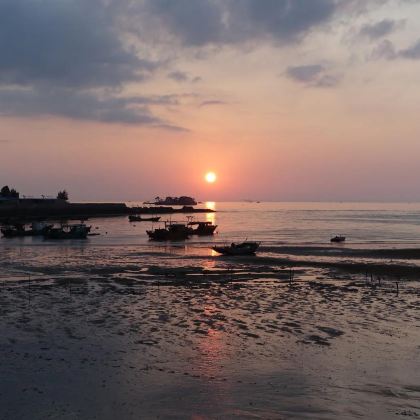 广东湛江+徐闻+中国大陆南极村+菠萝的海+硇洲岛3日2晚私家团
