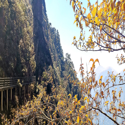 中国江西安福羊狮幕6日5晚私家团
