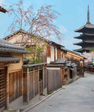 2D • Kyoto · Nara · Amanohashidate 2-Day Tour Complimentary Seagull Feeding Shrimp Crackers · Accommodation Not Included