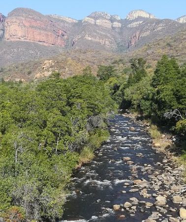 4D3N • 4 Day Kruger National Park Tour