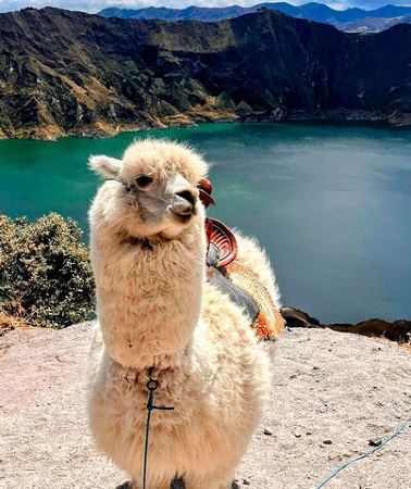 4D3N • Ecuador Adventure Escape: Volcanoes, Waterfalls, Amazon & Rafting