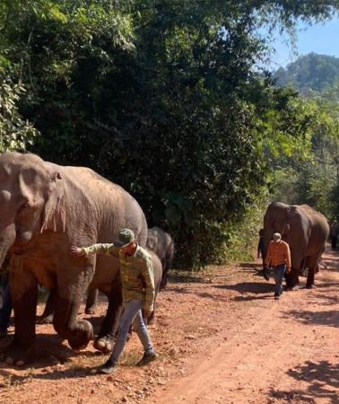 3D2N • Elephant Home Sanctuary in Muang Thong Sayaboury Laos