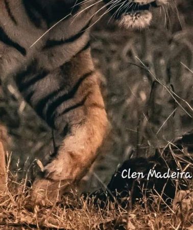 5D4N • Delhi to Nainital & Jim Corbet: 5-Day Wildlife & Nature Tour