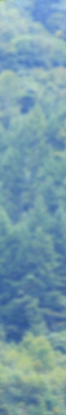 卧龙中华大熊猫苑神树坪基地-汶川