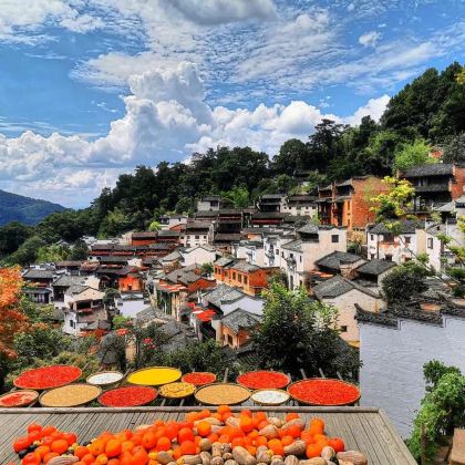 江西景德镇+婺源5日4晚私家团