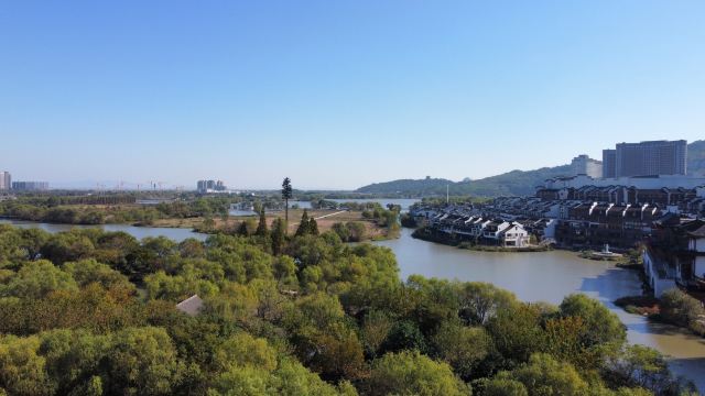 长兴太湖图影湿地文化园-观景塔旅行图片 2